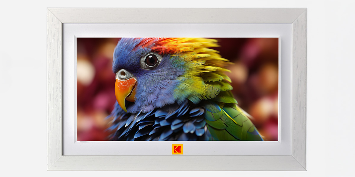 Ramka cyfrowa do zdjęć Kodak RCF-1018 biała front