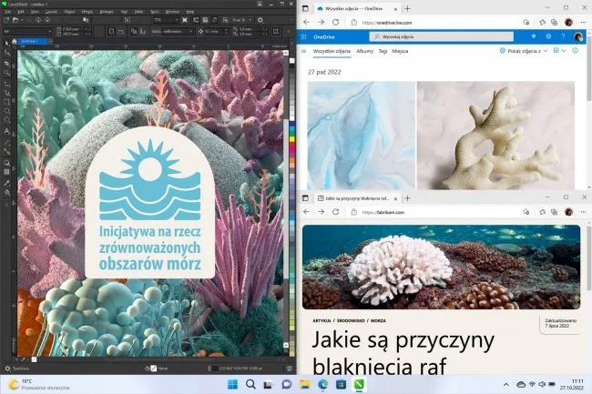 System operacyjny Microsoft Windows 11 Home 64-bit DVD OEM