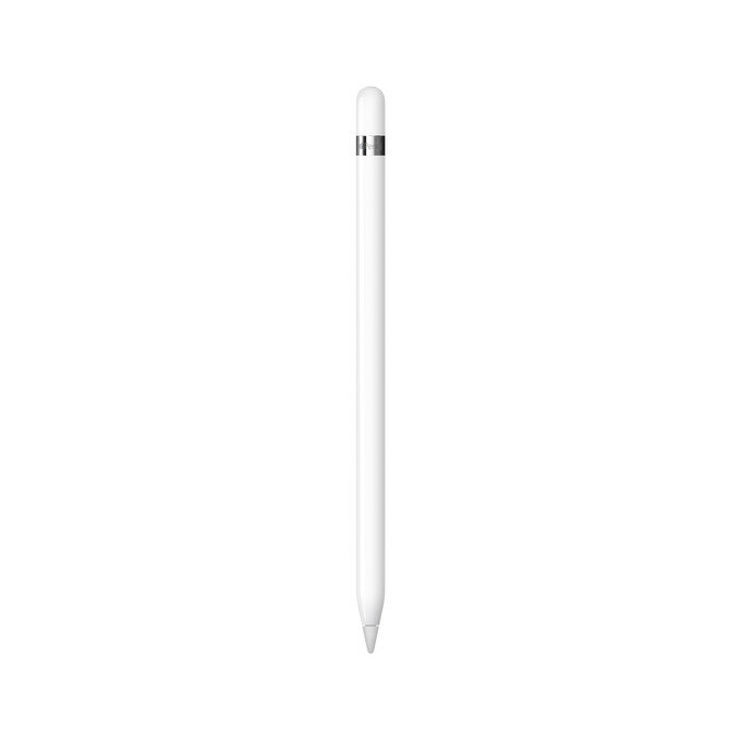 Rysik Apple Pencil (1. generacji) + przejściówka z USB-C widok od frontu