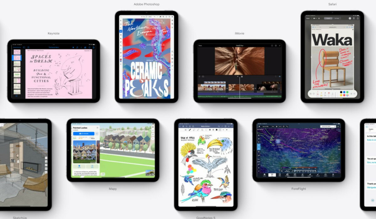 iPad mini 8,3 Wi-Fi + Cellular 256GB Space Grey mnóstwo apek dostępnych na ipadzie