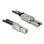 Delock Kabel mini SAS HD SFF-8644 -> SFF-8088 M/M 2m