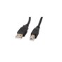 Kabel LANBERG USB 2.0 AM-BM 3M Ferryt czarny