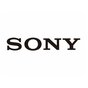 Sony PlayStation Plus Card 90 Day 9235644