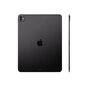 Tablet Apple iPad Pro 13 WiFi 256GB gwiezdna czerń