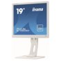 Monitor Iiyama ProLite B1980SD-W1 19" biały