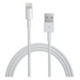 Apple Kabel Lightning na USB (1m)