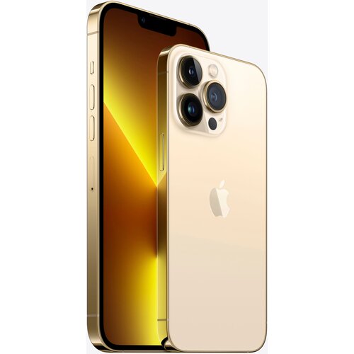Smartfon Apple iPhone 13 Pro 256GB Gold