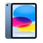 iPad Apple MPQ93FD/A 10,9" 256GB niebieski