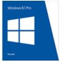 Program: Microsoft Windows 8.1 Pro 64bit OEM PL