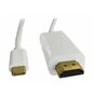 Qoltec Kabel DisplayPort Alternate mode | USB 3.1 typC męski / HDMI    męski | 4Kx2K | 1m