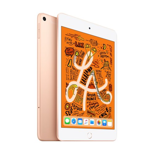 iPad mini Wi-Fi + Cellular 256GB - Gold  (Nowy model 2019)