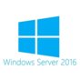 Microsoft OEM Win CAL 2016 User PL  1Clt       R18-05232