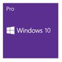 Microsoft OEM Windows Pro 10 PL x32 DVD        FQC-08946