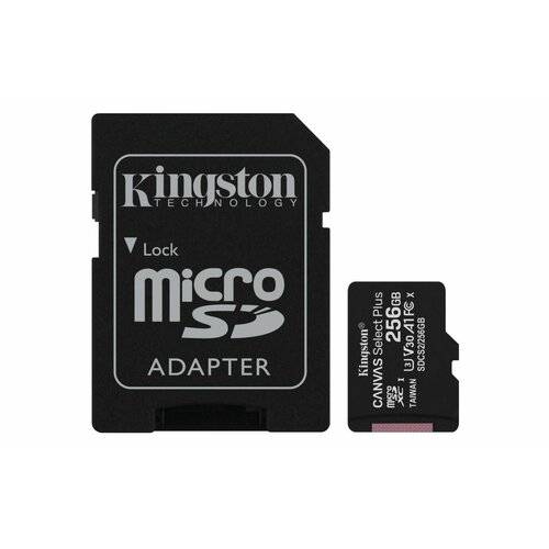Karta pamięci Kingston Canvas Select Plus SDCS2/256GB