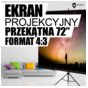 4World Ekran Projection screen 145x110 (72'',4:3)