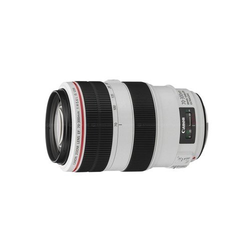 Canon EF 70-300MM 4.0-5.6L IS USM 4426B005