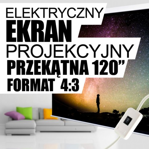 4World Ekran Projection screen244x183 (4:3) White