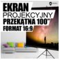 4World Ekran Projection screen221x124 (100'', 16:9) W