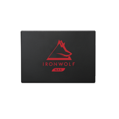 Dysk SSD Seagate IronWolf 125 250GB