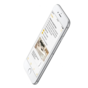 Smartfon Apple iPhone 6s 32GB Silver