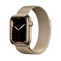 Apple Watch Series 7 GPS + Cellular, 41mm Gold Stainless Steel Case with Gold Milanese Loop