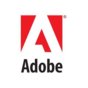 Program Adobe Acrobat Pro 2017 PL WIN BOX