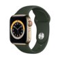 Smartwatch Apple Watch Series 6 GPS + Cellular 40mm Gold Stainless Steel