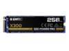 Dysk SSD Emtec X300 256GB