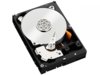 Western Digital HDD 250GB  RE 64MB SATAIII 7.2k RAID 5RZ