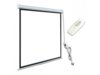 ART Ekran Elektryczny 4:3 100'' 203x152cm biały