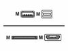 Whitenergy KABEL USB 2.0 AM BmicUSB /iphone4/5 20cm bialy