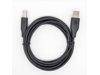 TB Kabel USB AM-BM 3m czarny