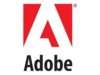 Program Adobe Acrobat Pro 2017 PL WIN BOX