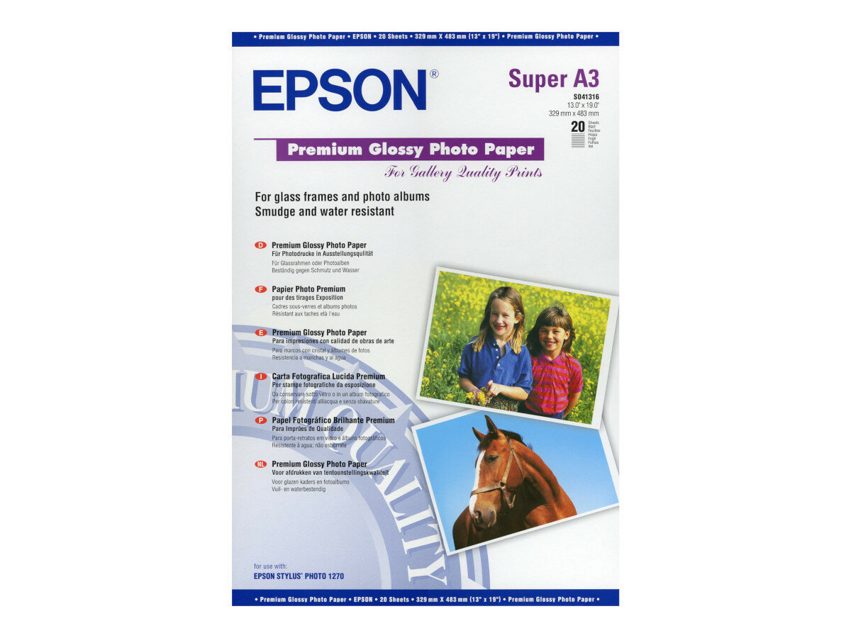 Papier fotograficzny Epson C13S041316 20 arkuszy frontem