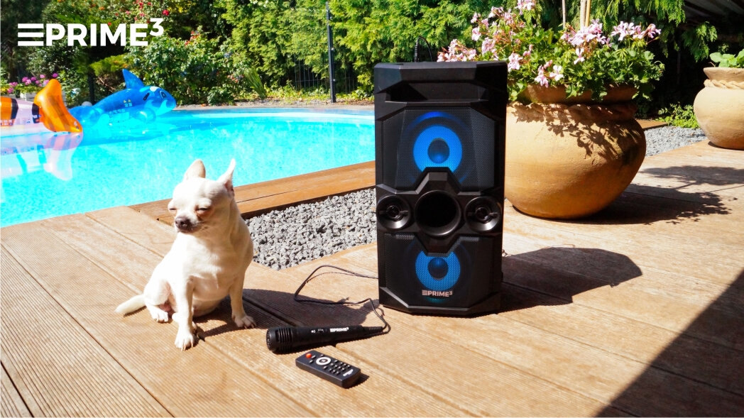 Odtwarzacz multimedialny Power Audio Prime3 ONYX APS41 widok na głośnik z psem przy basenie