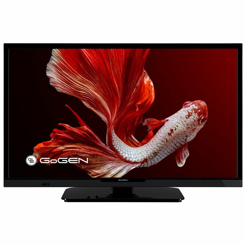 Telewizor GoGEN TVH24P452T DVB-T2 przód