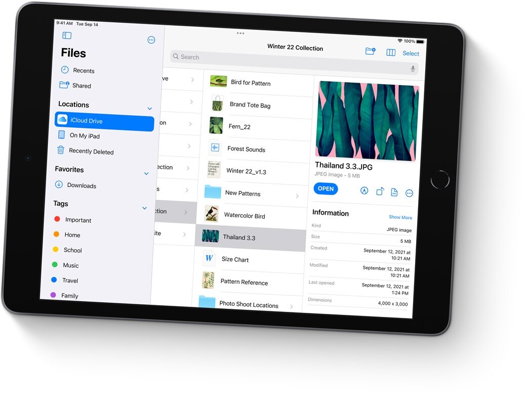 iPad 10,2 Wi-Fi 64 GB praca na plikach online