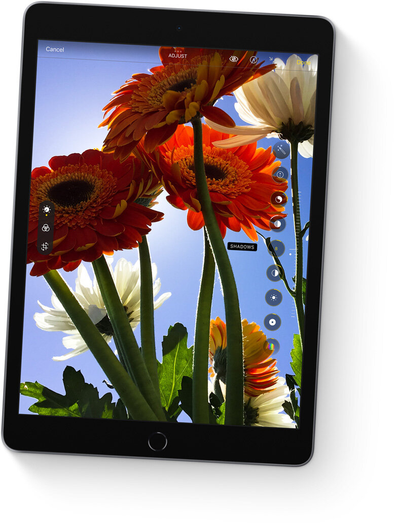 iPad 10,2 Wi-Fi 64 GB realistyczny obraz kwiatów z aparatu