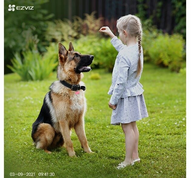 Kamera EZVIZ BC1C 2MP karmienie psa przez dziecko