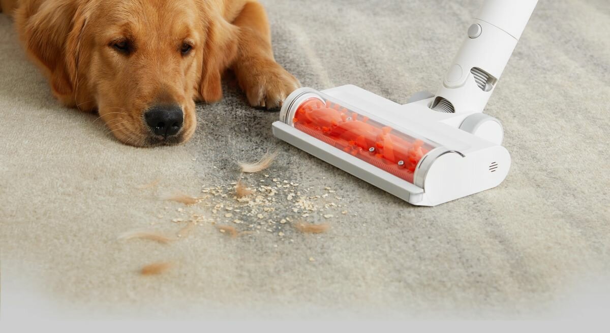 Odkurzacz Xiaomi Handheld Vacuum Cleaner G11 odkurzanie sierści, pies w tle