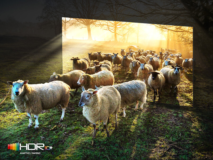 Telewizor Samsung QE75QN900B QLED 8K - owce wychodzące z telewizora