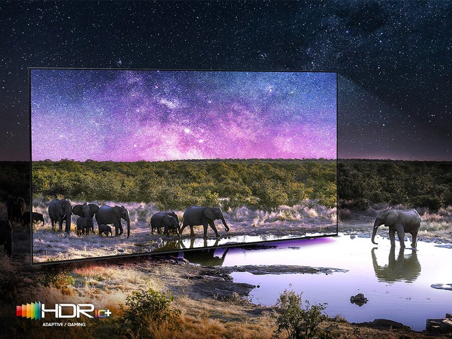Telewizor Samsung QN85B Neo QLED 4K - słonie wychodzące z ekranu