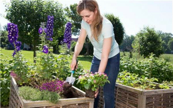 Zestaw małych narzędzi ogrodniczych Gardena 08964-30 3szt. pani przesadzająca kwiaty łopatką