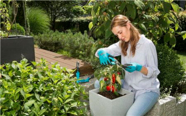 Zestaw narzędzi ogrodniczych Gardena 08965-30 z rękawicami pani używająca sekatora