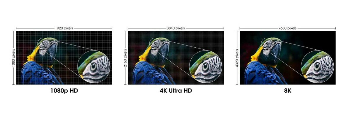Kabel HDMI Manhattan 355940 2.1 ultra szybki 2m trzy zdjęcia z papugą w różnych pikselach