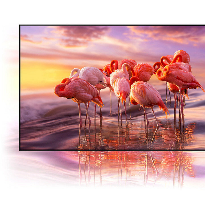 Telewizor Samsung QE50QN91AAT 50' pokazana jakość obrazu na telewizorze