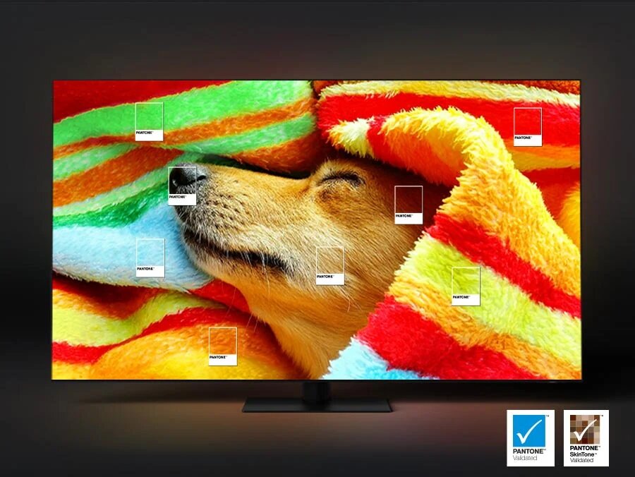 Telewizor Samsung QE55Q80CATXXH 55” QLED 4K grafika przedstawiająca telewizor na którym wyświetla się leżący pies w kolorowych kocach
