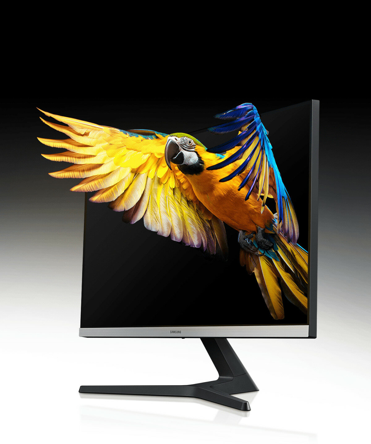 Monitor Samsung UR55 grafika przedstawiająca papugę wychodzącą z monitora