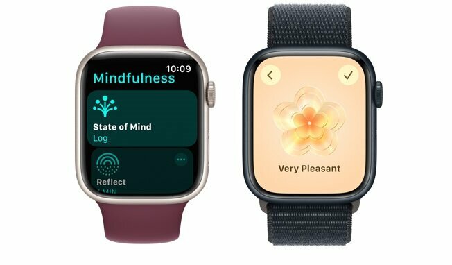 Smartwatch Apple Watch Series 9 GPS + Cellular aluminium różowy 41 mm + opaska sportowa jasnoróżowa M/L grafika przedstawia dwa smartwatche od frontu