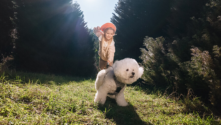 Kamera DJI Osmo Pocket 3 widok na kadr przedstawiający dziecko na dworze z psem